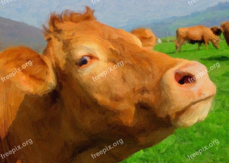 The Scenery Oil Painting Cow Free Photos