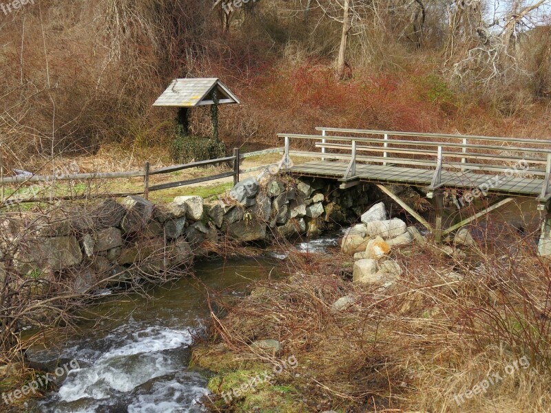 Stream Herring Run Water Brewster Cape Cod