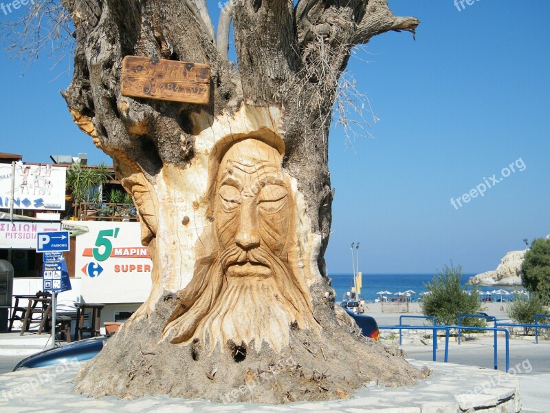 Olive Tree Face Crete Vacations Island