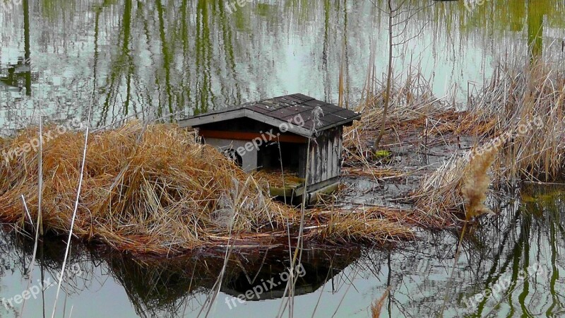 Entenhaus Aviary Lake Water House