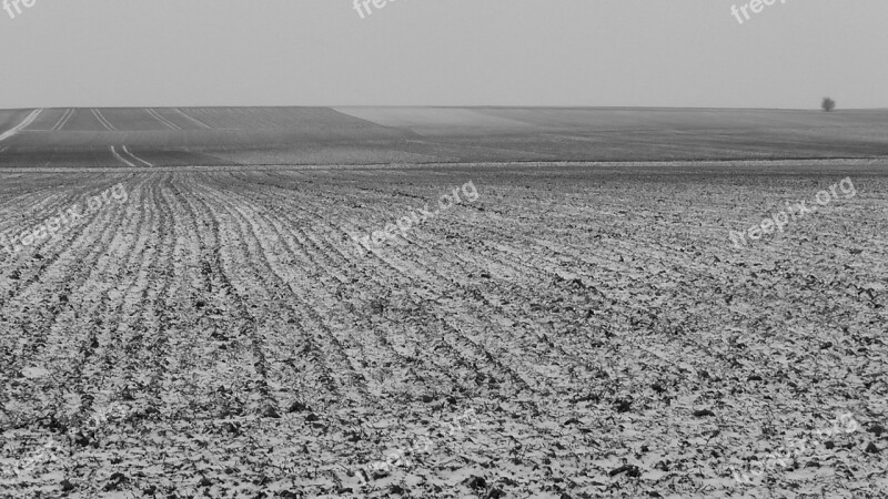 Field Nature Landscape Winter Black And White