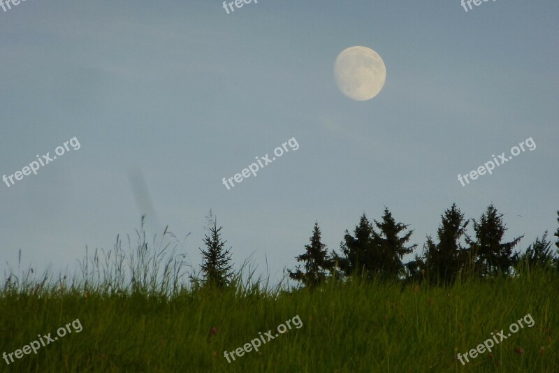 Full Moon Dusk Meadow Free Photos