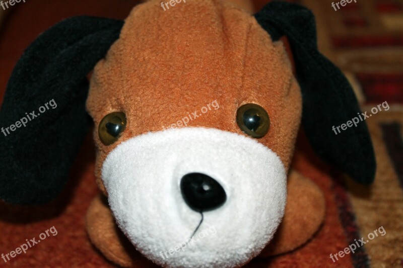 Stuffed Animal Dog Floppy Ear Niedlig Free Photos