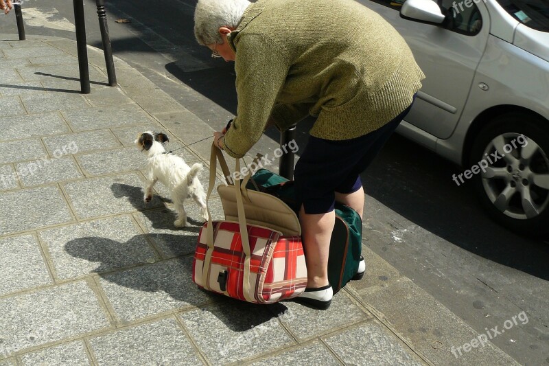 Woman Human Pavement Concrete Slabs Sidewalk Bag