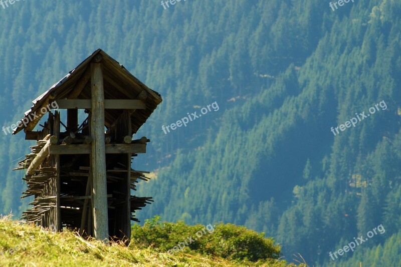 Stangger Nature Grass Field Meadow