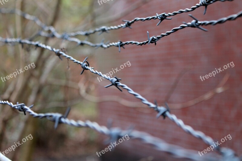 Barbed Wire Security Wire Close Up Tiefenschärfe