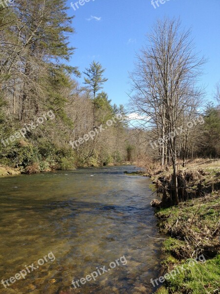 Stream River Trees Nature Water