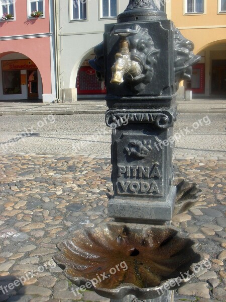 Drinking Water Thirst Summer Square Free Photos