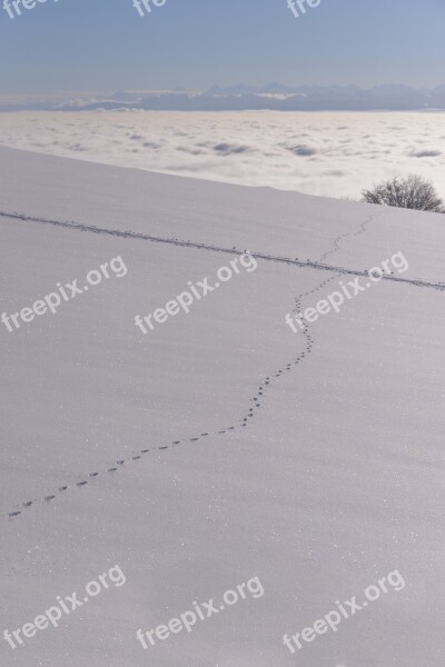 Snow White Winter Mountains Landscape