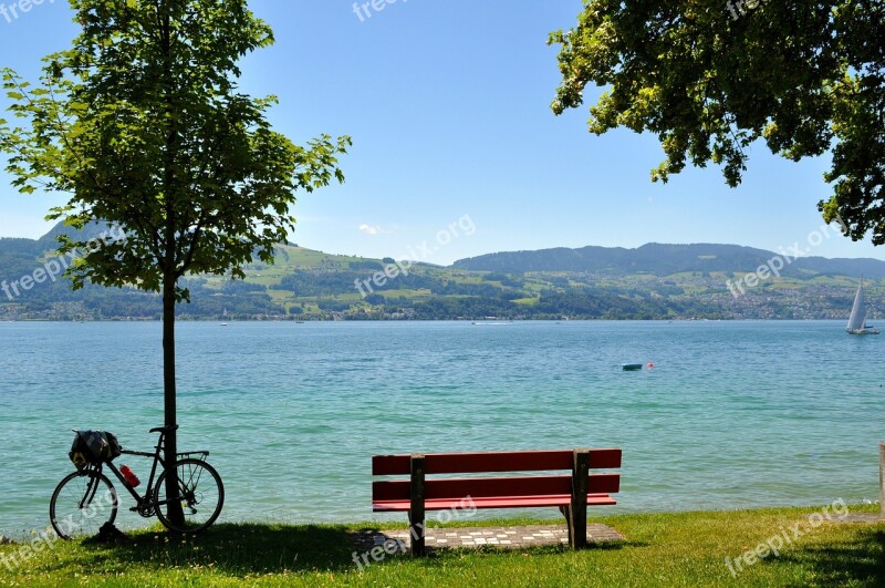 Lake Zurich Park Bench Water Rest Break