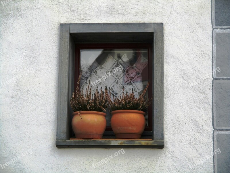 House Window Hauptwil With Plant Sims Clay Pots