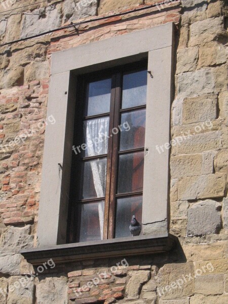 Stone House The Stone Wall Window Honey Pigeon