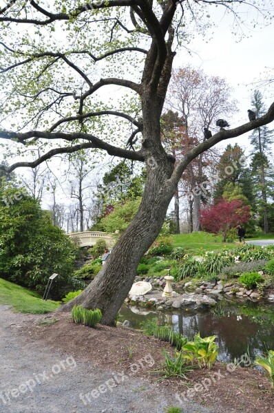 Halifax Public Gardens Lake Scenery Park