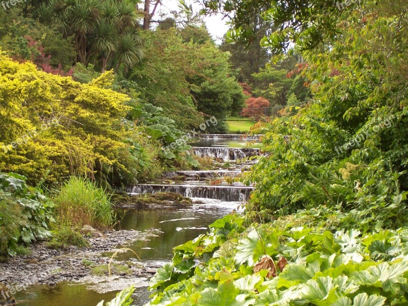 Pretty Scene Water Little Water Fall Green Trees Green Bank