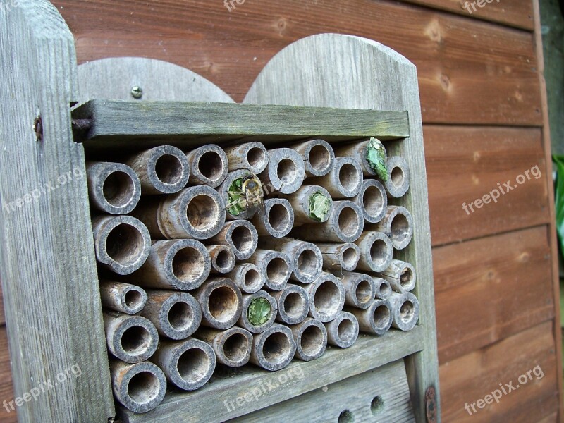 Insect House Leaf-cutter Bees Mason Bees Leaf Leaves