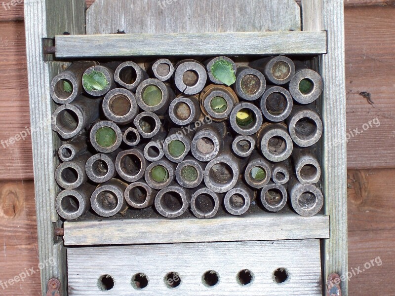 Insect House Leaf-cutter Bees Mason Bees Leaf Leaves