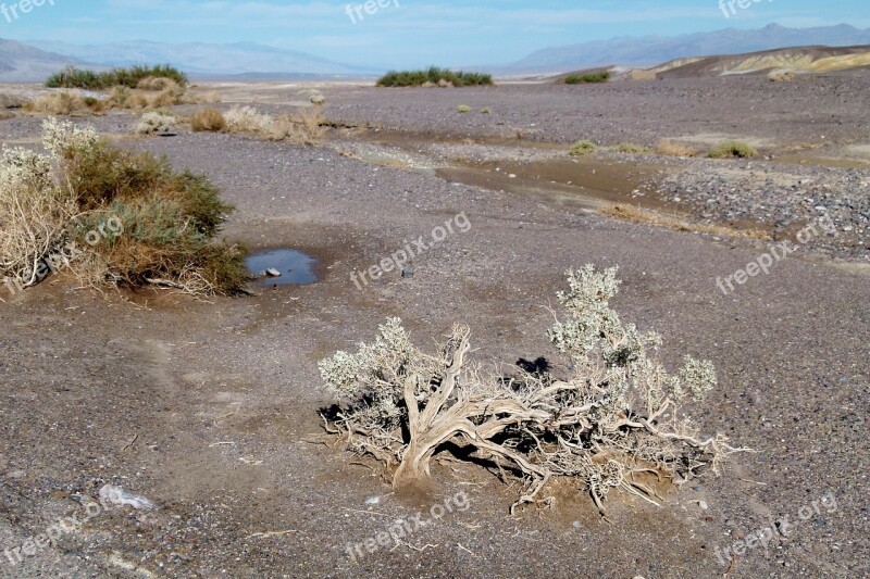 Death Valley California Usa After Rain Tourist Attraction