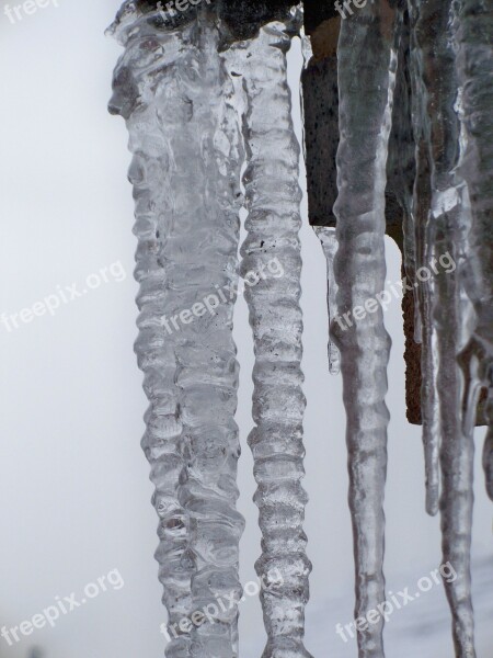 Icicles Winter Ice Frozen Close-up