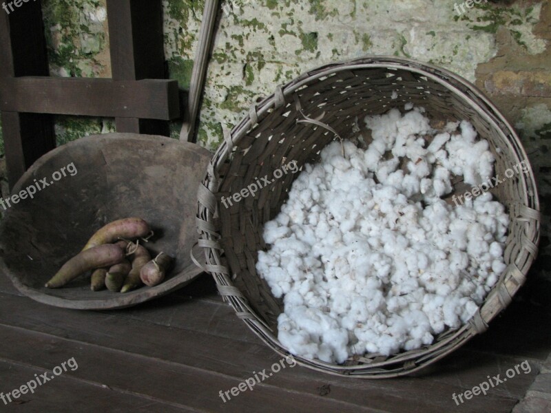 Cotton Yams Basket Free Photos