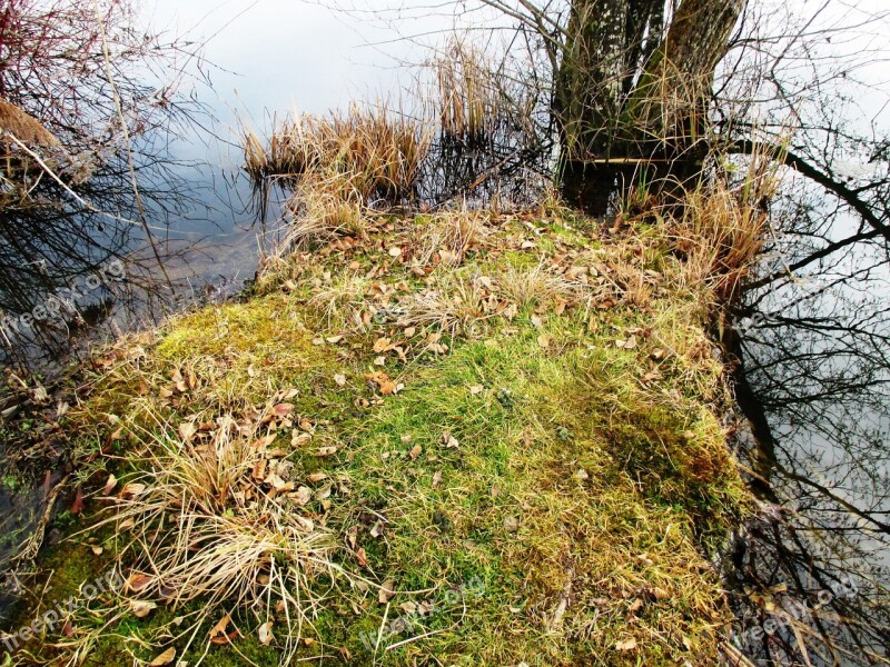 Waters Pond Cape Green Hauptwil Grove