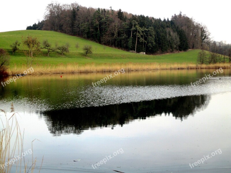 Waters Pond Hauptwil Hauptwil Pond Mirroring