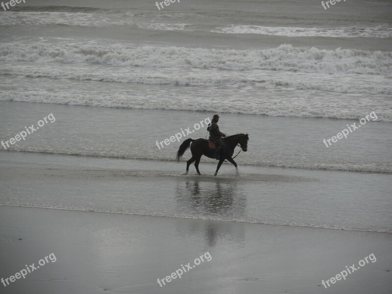 Horseback Riding Beach Ocean Free Photos