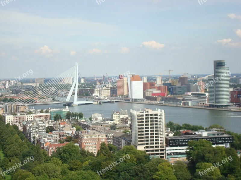 Rotterdam Erasmus Bridge Stadt Free Photos