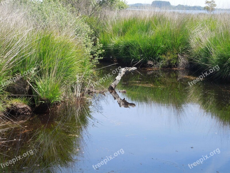 Water Marsh Nature Brittany Free Photos