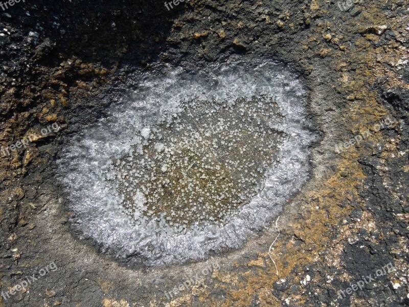 Flower Of Salt Salt Water Nature Rock