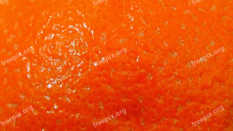 Orange Peel Orange Sweet Fruity Fruit