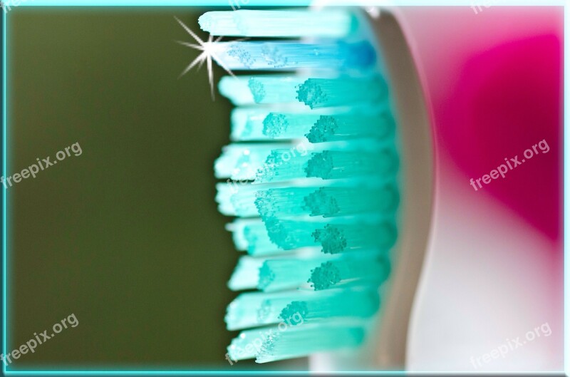 Toothbrush Dental Care Hygiene Dentistry Dental Hygiene