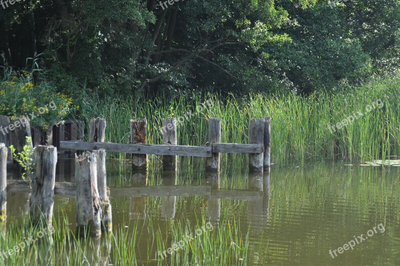 Müritz Water Waters Lake Nature