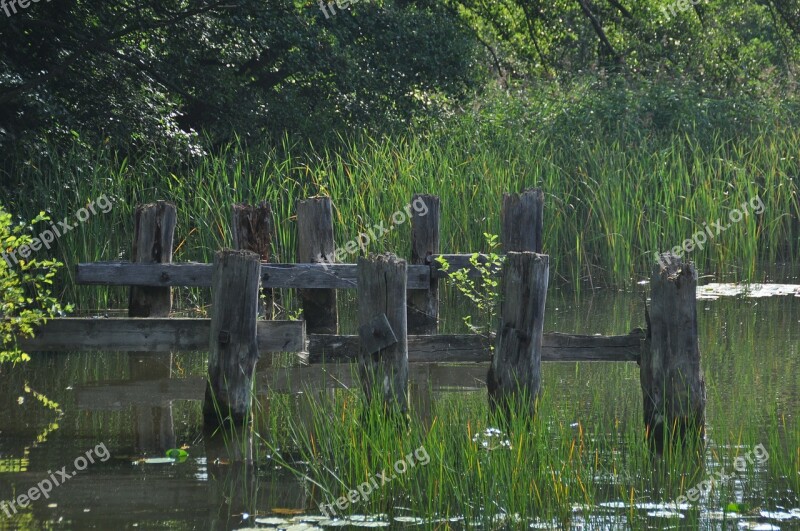 Müritz Water Waters Lake Nature