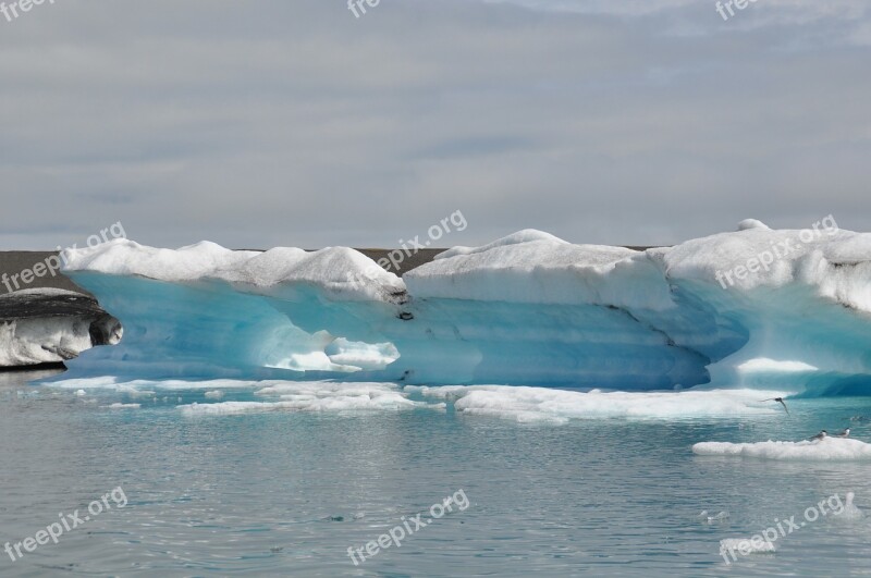 Ice Floes Ice Eternal Ice Iceland Glacier