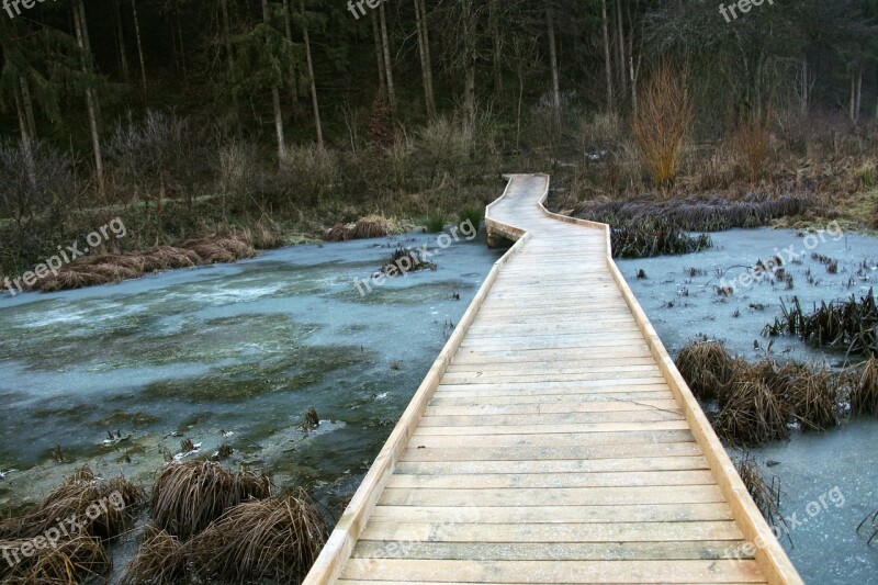 Nature Reserve Landscape Web Water Forest