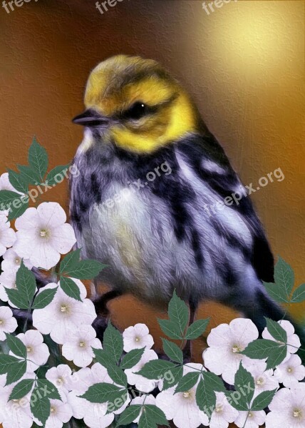 Black-throated Green Warbler Dendroica Virensdigital Digital Painting Flower Art