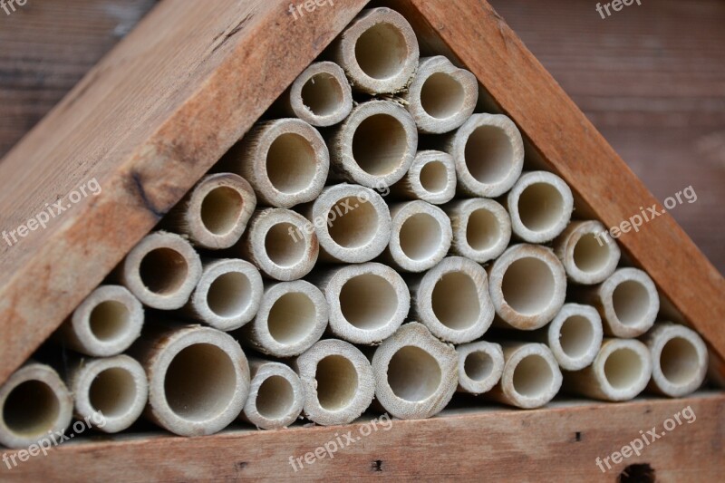 Insect House Bee Leaf Cutter House