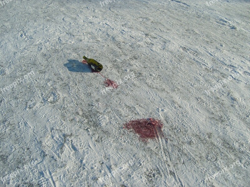 Winter Ice Snow Red Wine Tracks In The Snow