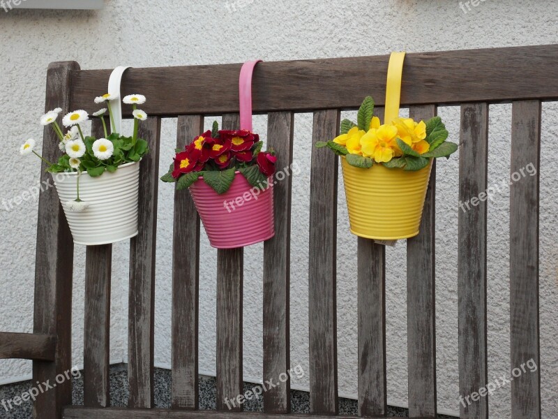 Flowerpot Potted Plant Plant Pot Flower Pot Flowers