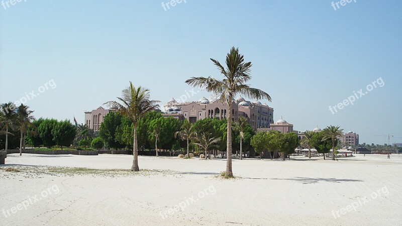 Sea Palm Trees Beach Water White Beach