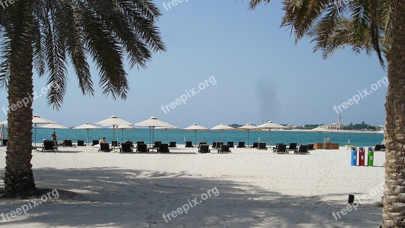 Sea Palm Trees Beach Water White Beach