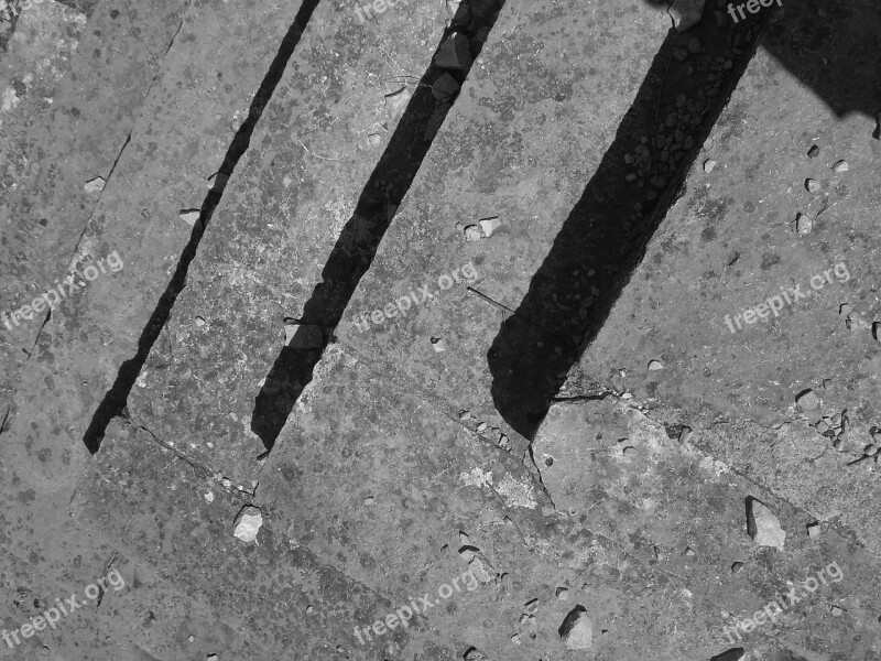 Stairs Steps Black And White Old Free Photos