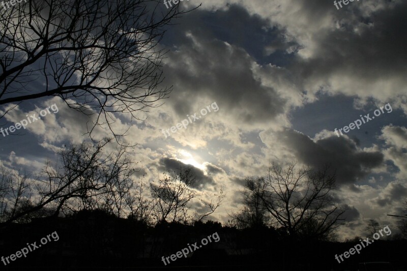 Clouds Aesthetic Trees Cloudiness Mood