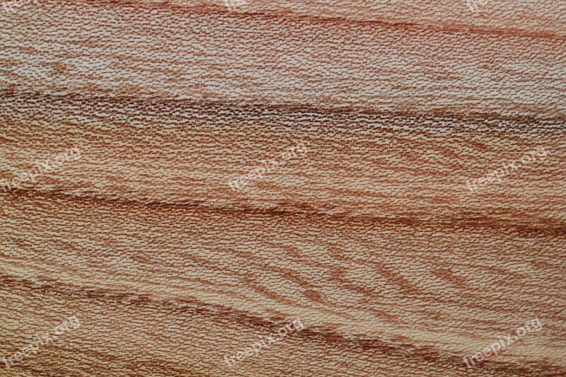 Wood Wood Grain Wooden Structure Grain Structure