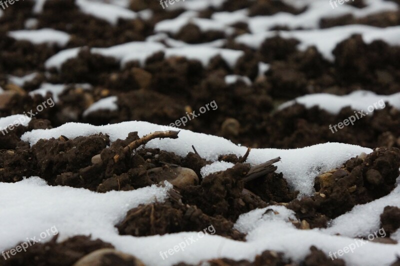 Earth Snow Brown White New Zealand