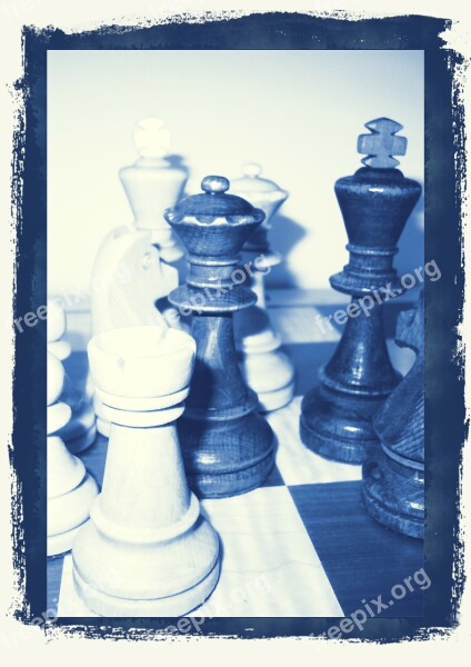 Chess Chess Pieces King Lady Chess Board