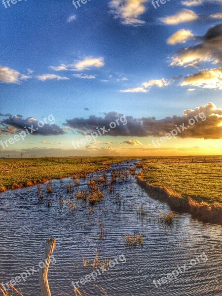 Marsh Cuxhaven Romance Sunset Reed