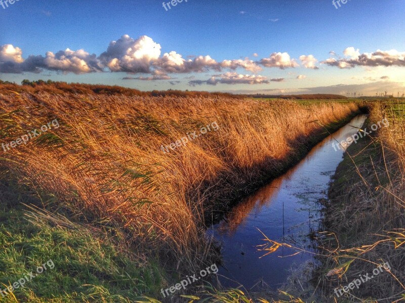 Marsh Cuxhaven Romance Sunset Reed