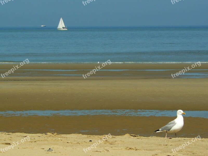 Beach Sand Boat Sea Water