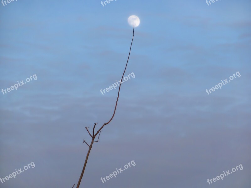 Moon Brunch Dusk Blue Hour Evening